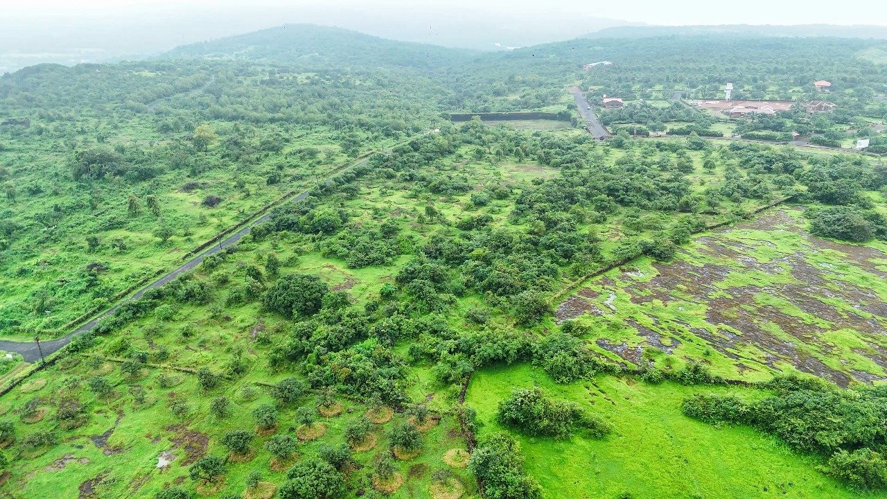 5 Acres N.A Land for Sale in Kotawde Ganapatipule Ratnagiri (2)