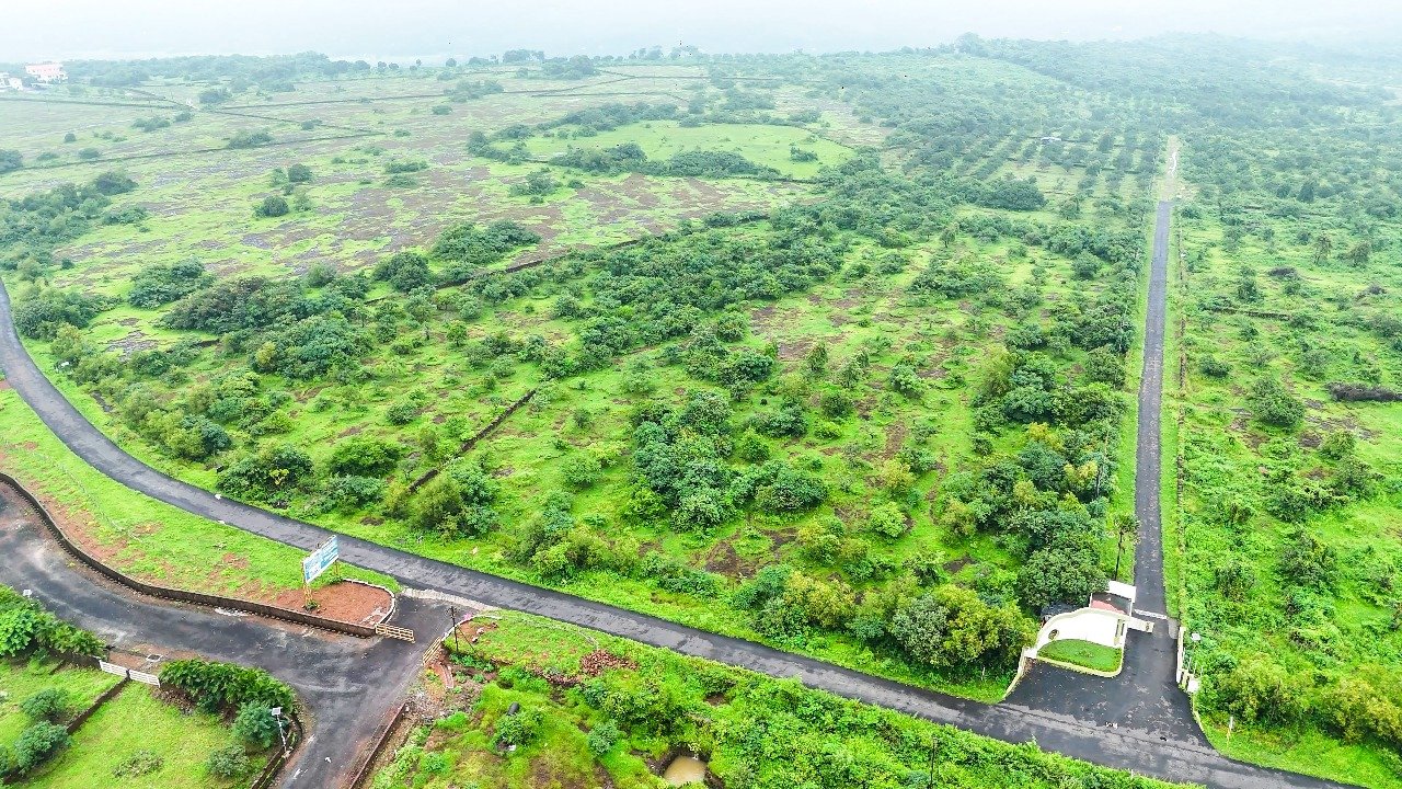 5 Acres N.A Land for Sale in Kotawde Ganapatipule Ratnagiri (3)